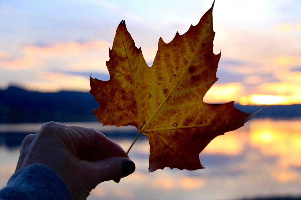 The Subtle Work of Becoming: What are You Ready to Release?