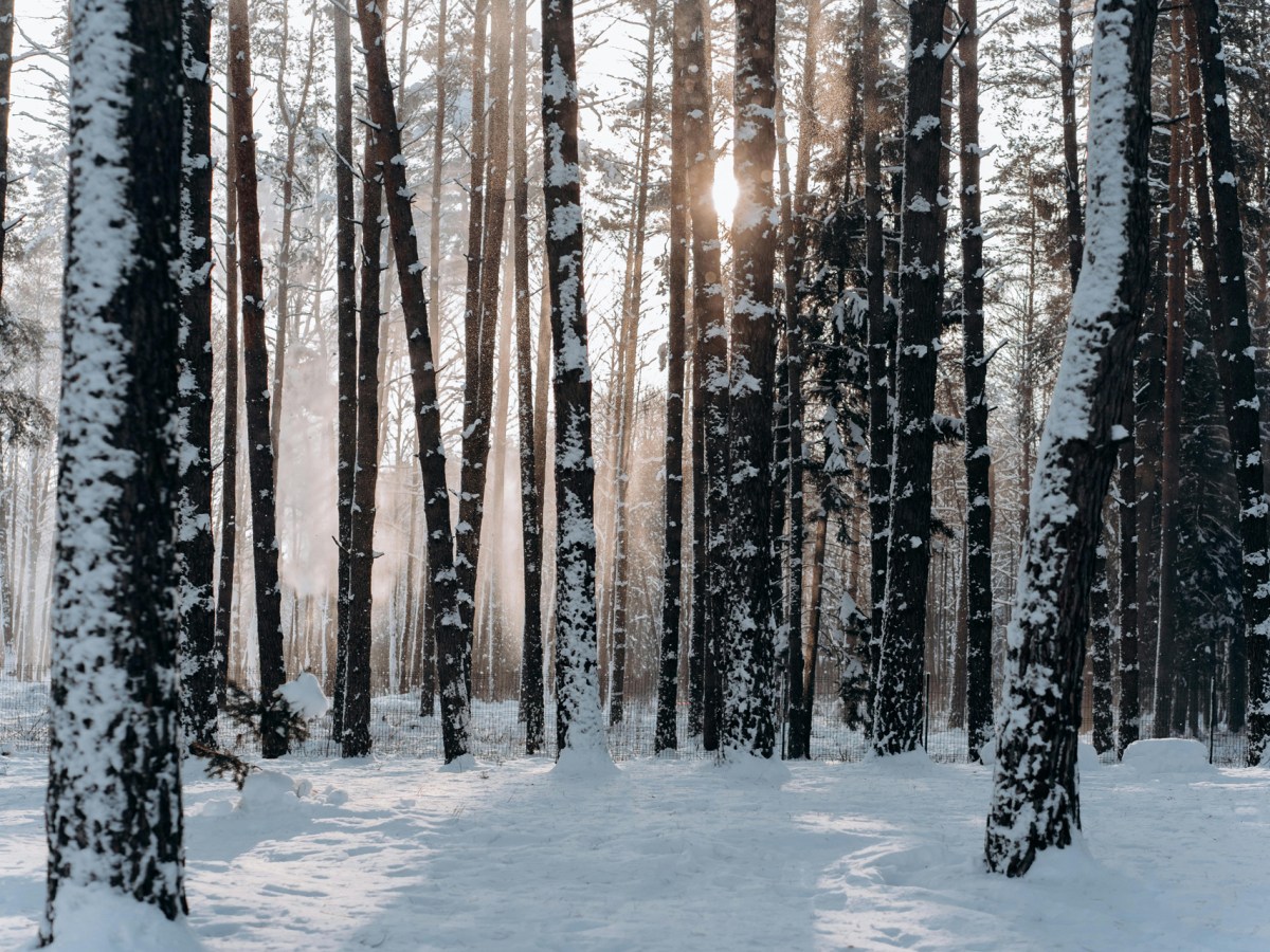 The Time Between&nbsp;Time